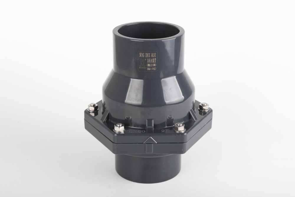 兴隆华侨农场翻板式止回阀