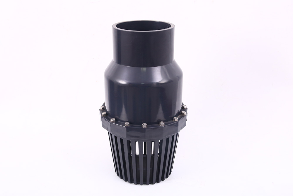 兴隆华侨农场翻板式底阀