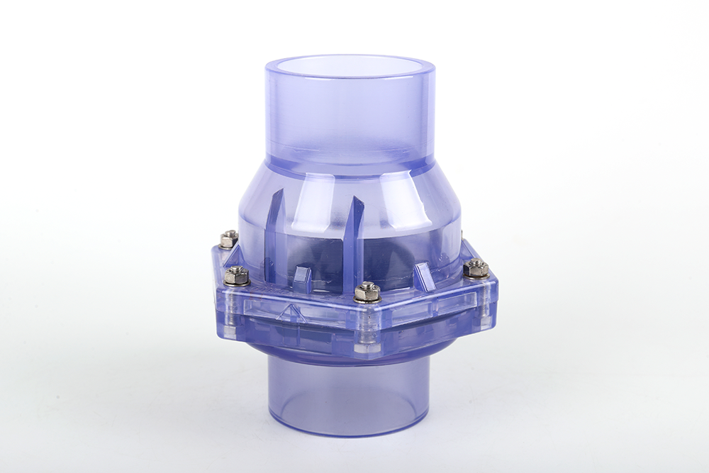 兴隆华侨农场透明翻板式止回阀